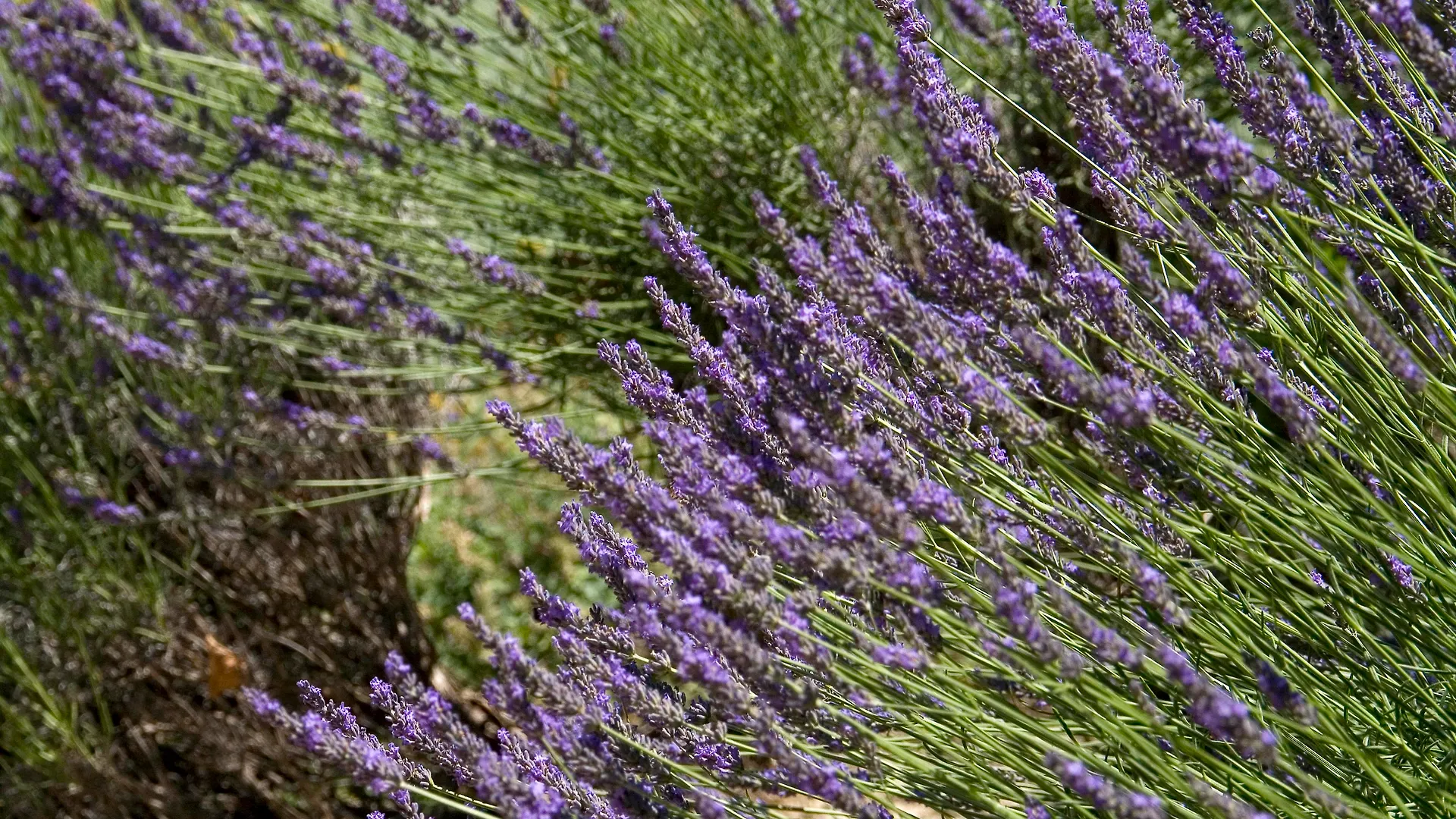 Benvengudo Hotel Les Baux-de-Provence